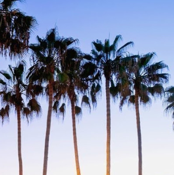 Meet your Posher, Riley - Picture 1 of 1